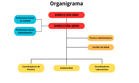 Lab Fono.png